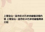 上海寶山一盆市價10萬多肉被偷詳細(xì)內(nèi)容 上海寶山一盆市價10萬多肉被偷具體介紹