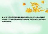 DNF(在老鼠地圖打魔笛使者皮特的時(shí)候 為什么角色本身會(huì)數(shù)123介紹 DNF 在老鼠地圖打魔笛使者皮特的時(shí)候 為什么角色本身會(huì)數(shù)123詳細(xì)情況如何)