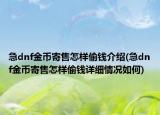 急dnf金幣寄售怎樣偷錢介紹(急dnf金幣寄售怎樣偷錢詳細(xì)情況如何)