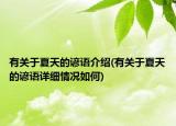 有關(guān)于夏天的諺語介紹(有關(guān)于夏天的諺語詳細情況如何)