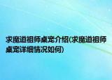求魔道祖師桌寵介紹(求魔道祖師桌寵詳細情況如何)