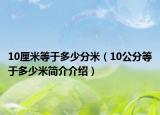 10厘米等于多少分米（10公分等于多少米簡介介紹）