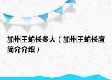 加州王蛇長(zhǎng)多大（加州王蛇長(zhǎng)度簡(jiǎn)介介紹）