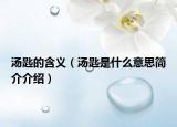 湯匙的含義（湯匙是什么意思簡介介紹）