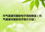 元?dú)鉂M滿可愛的句子簡(jiǎn)短唯美（元?dú)鉂M滿可愛的句子簡(jiǎn)介介紹）