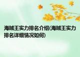 海賊王實(shí)力排名介紹(海賊王實(shí)力排名詳細(xì)情況如何)