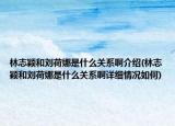 林志穎和劉荷娜是什么關系啊介紹(林志穎和劉荷娜是什么關系啊詳細情況如何)