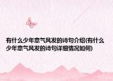 有什么少年意氣風(fēng)發(fā)的詩句介紹(有什么少年意氣風(fēng)發(fā)的詩句詳細情況如何)