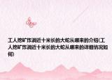 工人挖礦炸洞近十米長的大蛇從哪來的介紹(工人挖礦炸洞近十米長的大蛇從哪來的詳細情況如何)