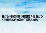 抽打心中的櫻桃花(閱讀答案介紹 抽打心中的櫻桃花 閱讀答案詳細情況如何)