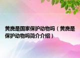 黃麂是國家保護動物嗎（黃麂是保護動物嗎簡介介紹）