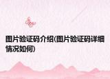 圖片驗(yàn)證碼介紹(圖片驗(yàn)證碼詳細(xì)情況如何)