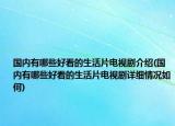 國(guó)內(nèi)有哪些好看的生活片電視劇介紹(國(guó)內(nèi)有哪些好看的生活片電視劇詳細(xì)情況如何)