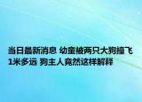 當(dāng)日最新消息 幼童被兩只大狗撞飛1米多遠(yuǎn) 狗主人竟然這樣解釋