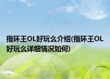 指環(huán)王OL好玩么介紹(指環(huán)王OL好玩么詳細情況如何)