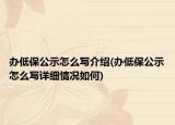辦低保公示怎么寫介紹(辦低保公示怎么寫詳細情況如何)