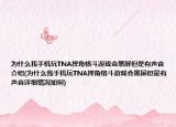 為什么我手機玩TNA摔角格斗游戲會黑屏但是有聲音介紹(為什么我手機玩TNA摔角格斗游戲會黑屏但是有聲音詳細情況如何)