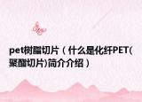 pet樹脂切片（什么是化纖PET(聚酯切片)簡(jiǎn)介介紹）