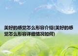 美好的感覺怎么形容介紹(美好的感覺怎么形容詳細(xì)情況如何)