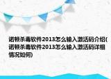 諾頓殺毒軟件2013怎么輸入激活碼介紹(諾頓殺毒軟件2013怎么輸入激活碼詳細情況如何)