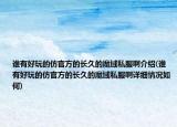 誰有好玩的仿官方的長久的魔域私服啊介紹(誰有好玩的仿官方的長久的魔域私服啊詳細(xì)情況如何)