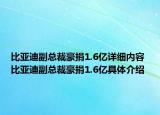 比亞迪副總裁豪捐1.6億詳細(xì)內(nèi)容 比亞迪副總裁豪捐1.6億具體介紹