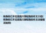 轉(zhuǎn)身你已不見而我只想輕抱你作文介紹(轉(zhuǎn)身你已不見而我只想輕抱你作文詳細(xì)情況如何)