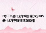 EQUUS是什么車啊介紹(EQUUS是什么車啊詳細(xì)情況如何)