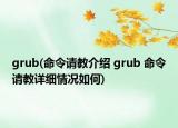 grub(命令請(qǐng)教介紹 grub 命令請(qǐng)教詳細(xì)情況如何)