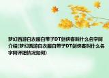 夢(mèng)幻西游白衣服白帶子DT劍俠客叫什么名字阿介紹(夢(mèng)幻西游白衣服白帶子DT劍俠客叫什么名字阿詳細(xì)情況如何)