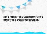 寶付支付是屬于哪個公司的介紹(寶付支付是屬于哪個公司的詳細情況如何)