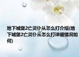 地下城堡2亡靈仆從怎么打介紹(地下城堡2亡靈仆從怎么打詳細情況如何)