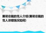 黑幫總裁的雪人介紹(黑幫總裁的雪人詳細(xì)情況如何)