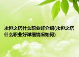 永恒之塔什么職業(yè)好介紹(永恒之塔什么職業(yè)好詳細(xì)情況如何)
