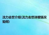 沈力去世介紹(沈力去世詳細(xì)情況如何)