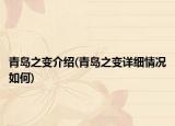 青島之變介紹(青島之變詳細(xì)情況如何)