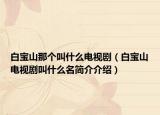 白寶山那個叫什么電視?。ò讓毶诫娨晞〗惺裁疵喗榻榻B）