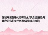 冒險(xiǎn)島黑色進(jìn)化龍有什么用?介紹(冒險(xiǎn)島黑色進(jìn)化龍有什么用?詳細(xì)情況如何)