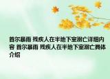首爾暴雨 殘疾人在半地下室溺亡詳細內容 首爾暴雨 殘疾人在半地下室溺亡具體介紹