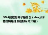 DNA的結(jié)構(gòu)分子是什么（dna分子的結(jié)構(gòu)是什么結(jié)構(gòu)簡介介紹）