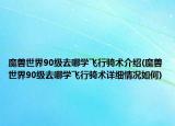 魔獸世界90級(jí)去哪學(xué)飛行騎術(shù)介紹(魔獸世界90級(jí)去哪學(xué)飛行騎術(shù)詳細(xì)情況如何)