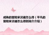成熟的冒險(xiǎn)家靈魂怎么得（平凡的冒險(xiǎn)家靈魂怎么得到簡介介紹）