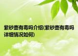 紫砂壺有毒嗎介紹(紫砂壺有毒嗎詳細(xì)情況如何)