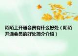 陌陌上開(kāi)通會(huì)員有什么好處（陌陌開(kāi)通會(huì)員的好處簡(jiǎn)介介紹）