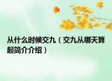 從什么時候交九（交九從哪天算起簡介介紹）