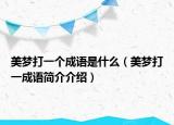 美夢打一個成語是什么（美夢打一成語簡介介紹）