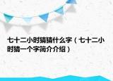 七十二小時(shí)猜猜什么字（七十二小時(shí)猜一個(gè)字簡(jiǎn)介介紹）