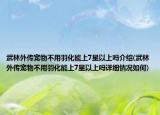 武林外傳寵物不用羽化能上7星以上嗎介紹(武林外傳寵物不用羽化能上7星以上嗎詳細(xì)情況如何)
