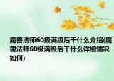 魔獸法師60級(jí)滿級(jí)后干什么介紹(魔獸法師60級(jí)滿級(jí)后干什么詳細(xì)情況如何)