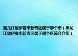 黑龍江省伊春市新青區(qū)屬于哪個市（黑龍江省伊春市新青區(qū)屬于哪個區(qū)簡介介紹）